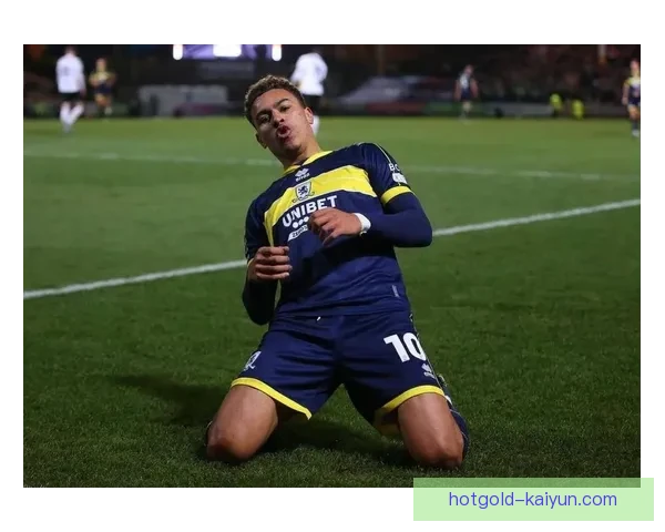 赫鲁斯蒂奇本赛季进球数据表现稳健，成为球队进攻新亮点